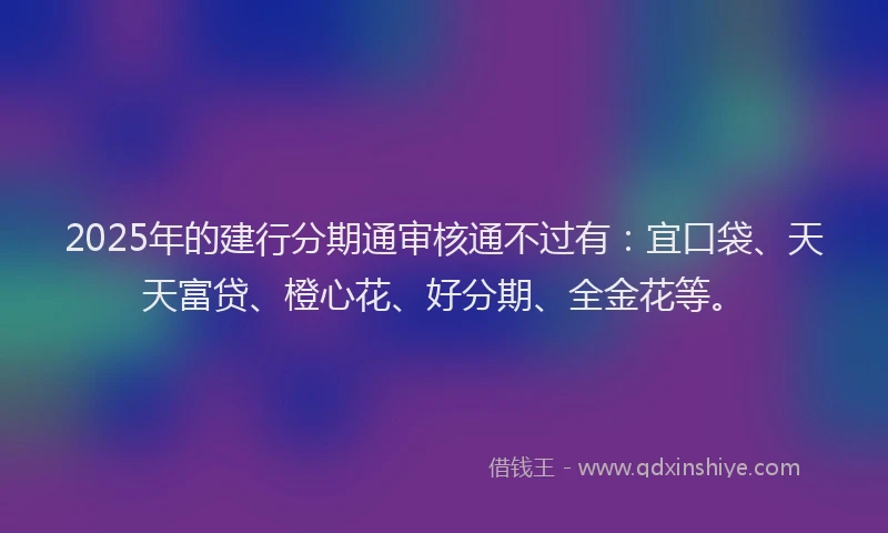 2025年的建行分期通审核通不过有：宜口袋、天天富贷、橙心花、好分期、全金花等。