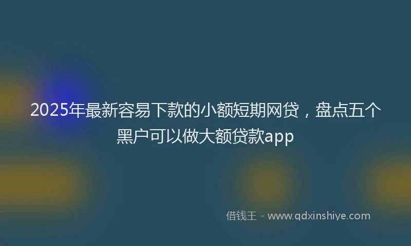 2025年最新容易下款的小额短期网贷，盘点五个黑户可以做大额贷款app