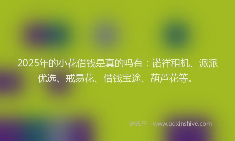 2025年的小花借钱是真的吗有：诺祥租机、派派优选、戒易花、借钱宝途、葫芦花等。