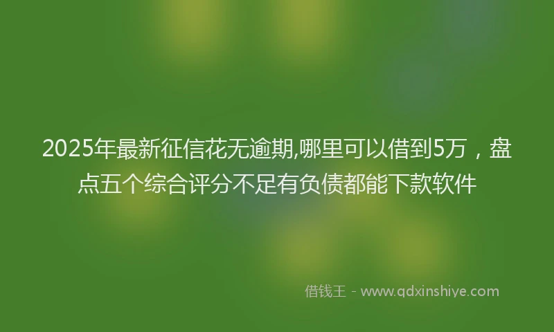 2025年最新征信花无逾期,哪里可以借到5万，盘点五个综合评分不足有负债都能下款软件