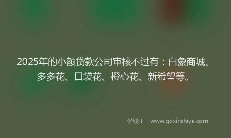 2025年的小额贷款公司审核不过有：白象商城、多多花、口袋花、橙心花、新希望等。