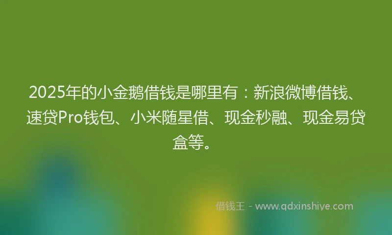 2025年的小金鹅借钱是哪里有：新浪微博借钱、速贷Pro钱包、小米随星借、现金秒融、现金易贷盒等。