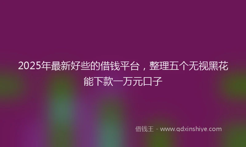 2025年最新好些的借钱平台，整理五个无视黑花能下款一万元口子