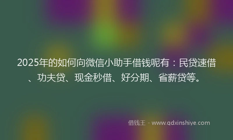 2025年的如何向微信小助手借钱呢有：民贷速借、功夫贷、现金秒借、好分期、省薪贷等。