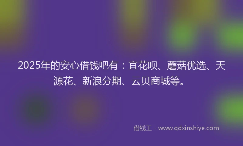 2025年的安心借钱吧有：宜花呗、蘑菇优选、天源花、新浪分期、云贝商城等。