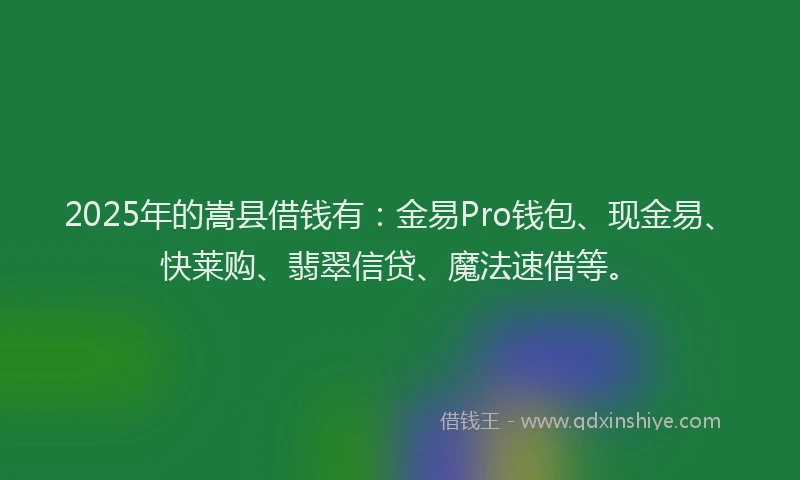 2025年的嵩县借钱有：金易Pro钱包、现金易、快莱购、翡翠信贷、魔法速借等。