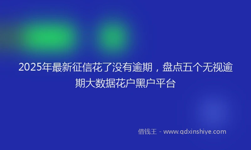 2025年最新征信花了没有逾期，盘点五个无视逾期大数据花户黑户平台