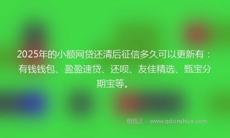 2025年的小额网贷还清后征信多久可以更新有：有钱钱包、盈盈速贷、还呗、友佳精选、甄宝分期宝等。