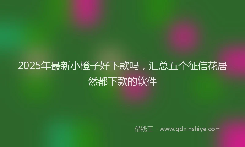 2025年最新小橙子好下款吗，汇总五个征信花居然都下款的软件
