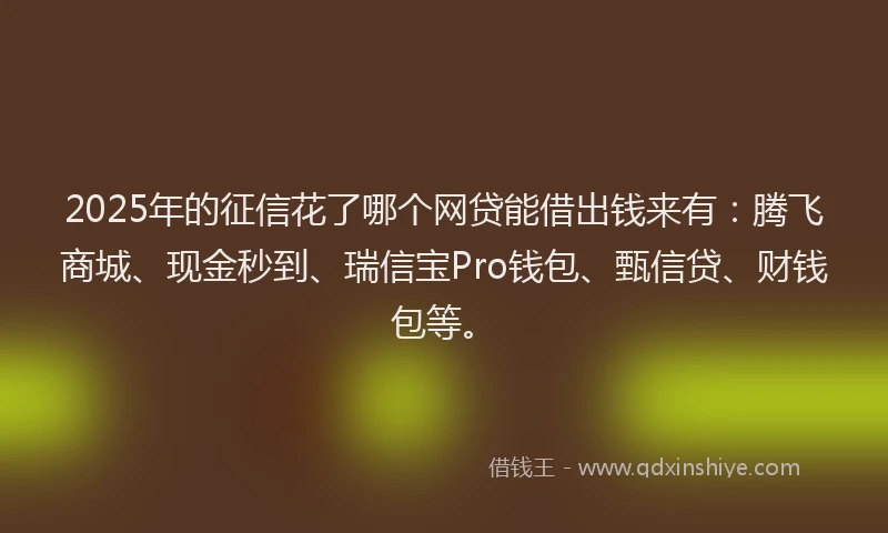 2025年的征信花了哪个网贷能借出钱来有：腾飞商城、现金秒到、瑞信宝Pro钱包、甄信贷、财钱包等。