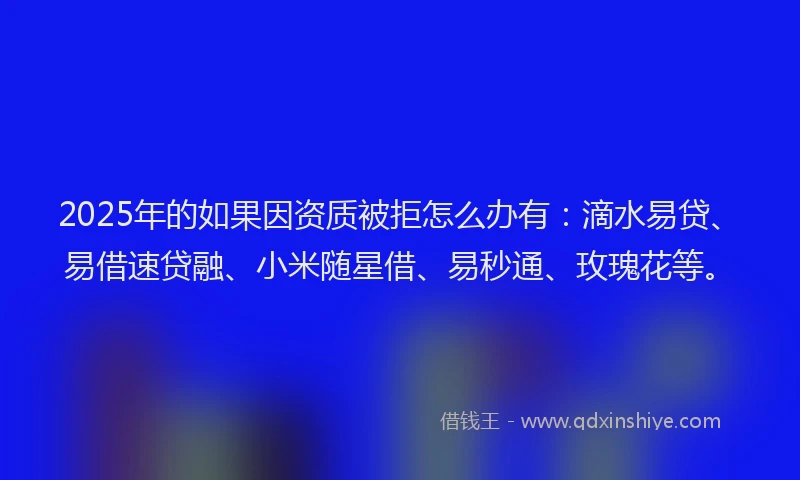 2025年的如果因资质被拒怎么办有：滴水易贷、易借速贷融、小米随星借、易秒通、玫瑰花等。
