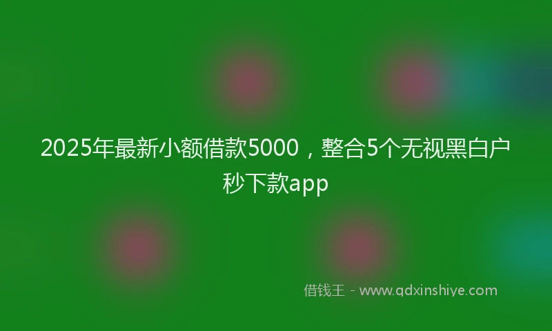 2025年最新小额借款5000，整合5个无视黑白户秒下款app