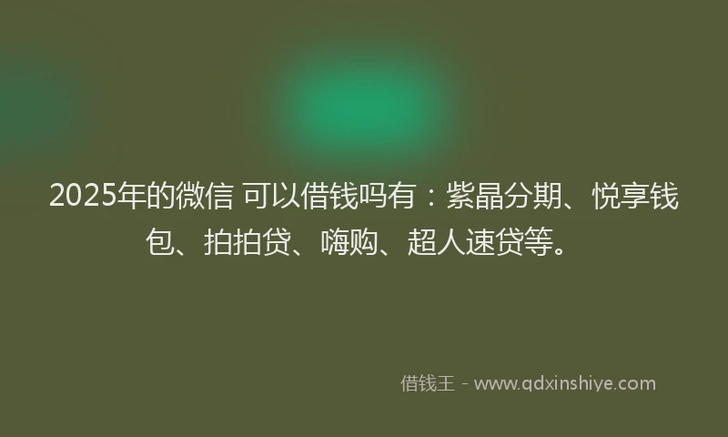 2025年的微信 可以借钱吗有：紫晶分期、悦享钱包、拍拍贷、嗨购、超人速贷等。