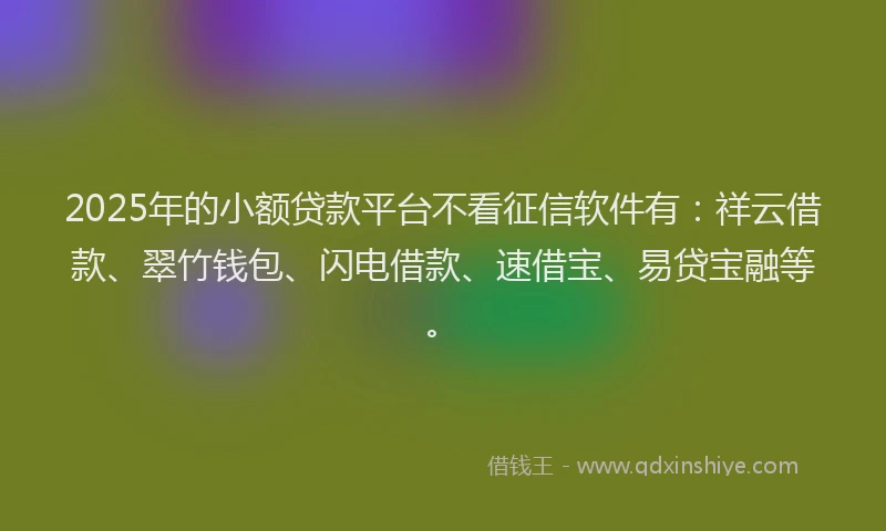2025年的小额贷款平台不看征信软件有：祥云借款、翠竹钱包、闪电借款、速借宝、易贷宝融等。