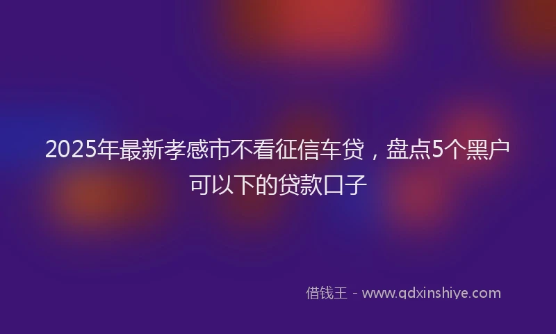2025年最新孝感市不看征信车贷，盘点5个黑户可以下的贷款口子