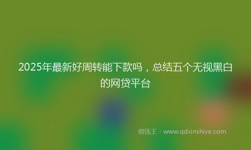 2025年最新好周转能下款吗，总结五个无视黑白的网贷平台