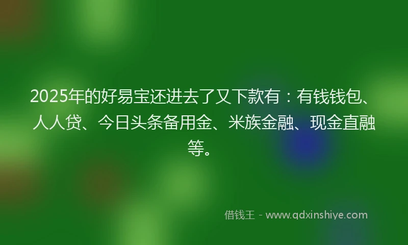 2025年的好易宝还进去了又下款有：有钱钱包、人人贷、今日头条备用金、米族金融、现金直融等。