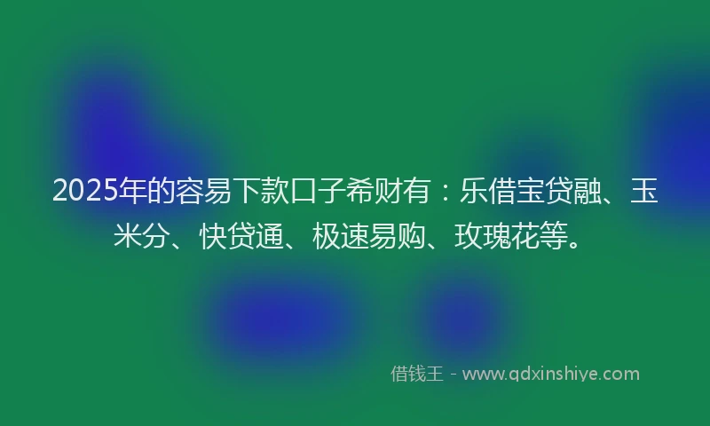 2025年的容易下款口子希财有：乐借宝贷融、玉米分、快贷通、极速易购、玫瑰花等。