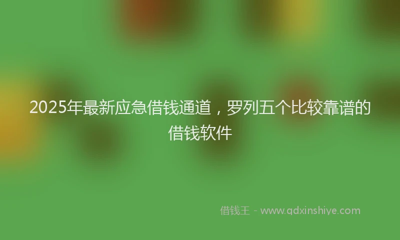 2025年最新应急借钱通道，罗列五个比较靠谱的借钱软件