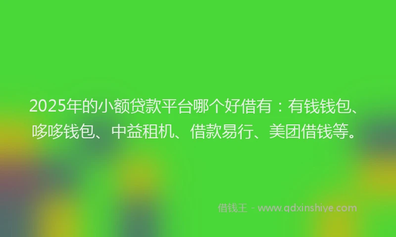 2025年的小额贷款平台哪个好借有：有钱钱包、哆哆钱包、中益租机、借款易行、美团借钱等。