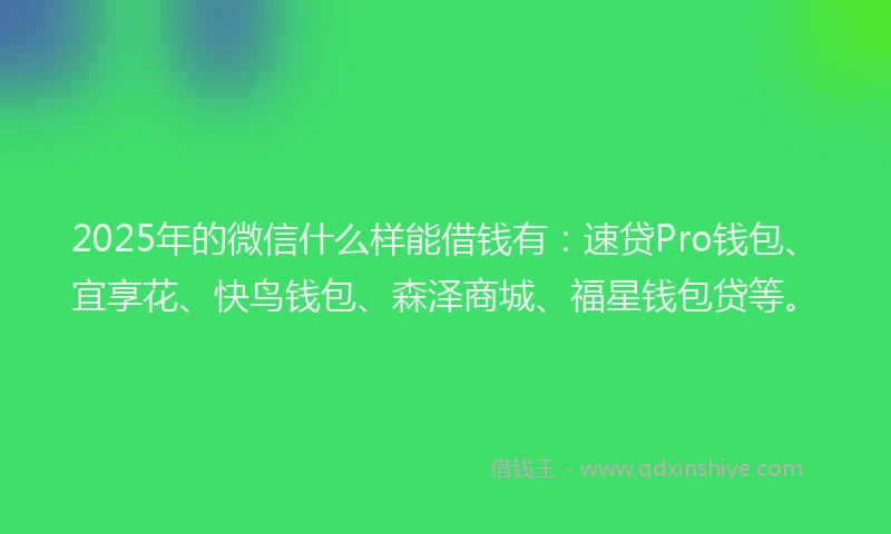 2025年的微信什么样能借钱有：速贷Pro钱包、宜享花、快鸟钱包、森泽商城、福星钱包贷等。