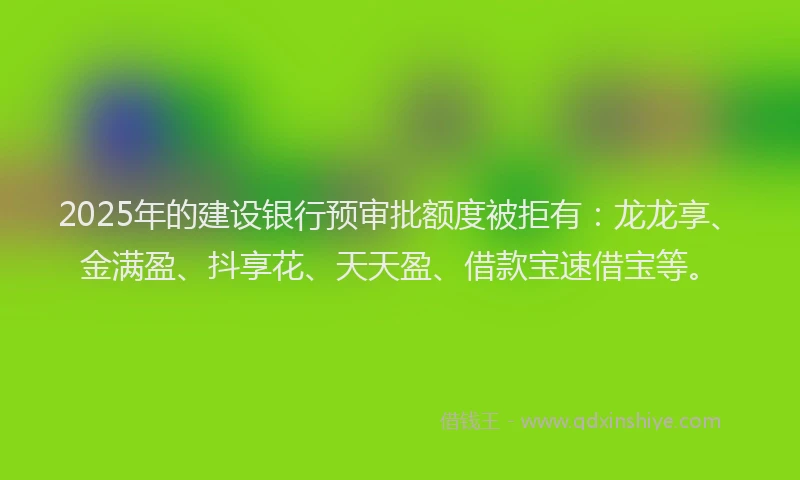 2025年的建设银行预审批额度被拒有：龙龙享、金满盈、抖享花、天天盈、借款宝速借宝等。