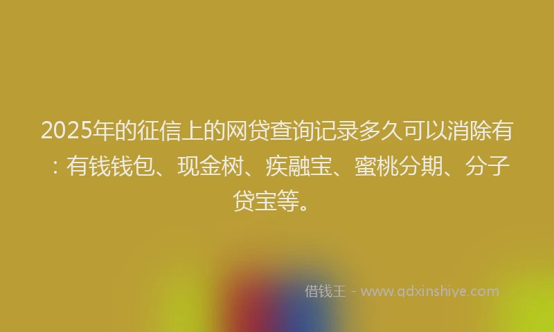 2025年的征信上的网贷查询记录多久可以消除有：有钱钱包、现金树、疾融宝、蜜桃分期、分子贷宝等。