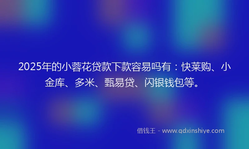 2025年的小蓉花贷款下款容易吗有：快莱购、小金库、多米、甄易贷、闪银钱包等。