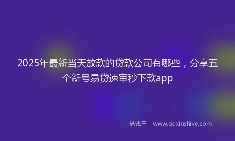 2025年最新当天放款的贷款公司有哪些，分享五个新号易贷速审秒下款app