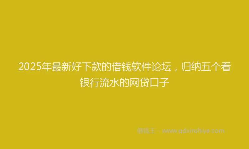 2025年最新好下款的借钱软件论坛，归纳五个看银行流水的网贷口子