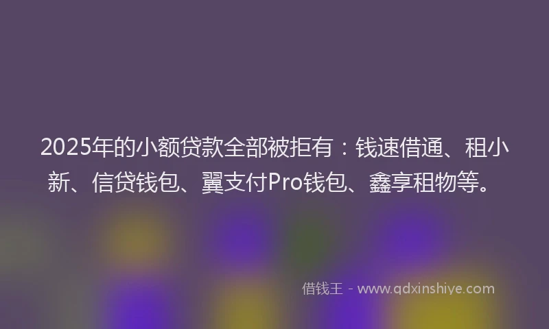 2025年的小额贷款全部被拒有：钱速借通、租小新、信贷钱包、翼支付Pro钱包、鑫享租物等。