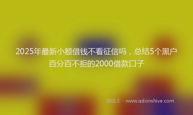 2025年最新小额借钱不看征信吗，总结5个黑户百分百不拒的2000借款口子