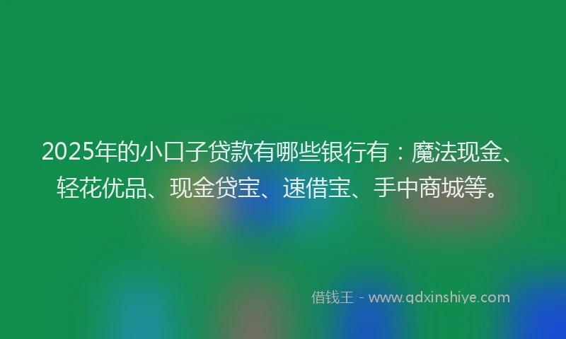2025年的小口子贷款有哪些银行有：魔法现金、轻花优品、现金贷宝、速借宝、手中商城等。