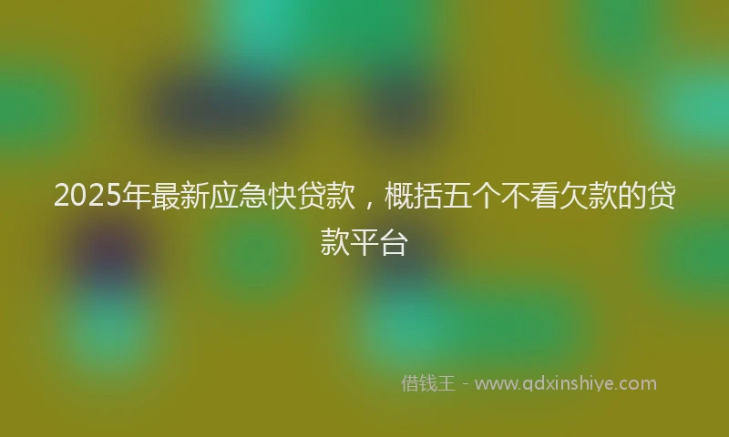 2025年最新应急快贷款，概括五个不看欠款的贷款平台