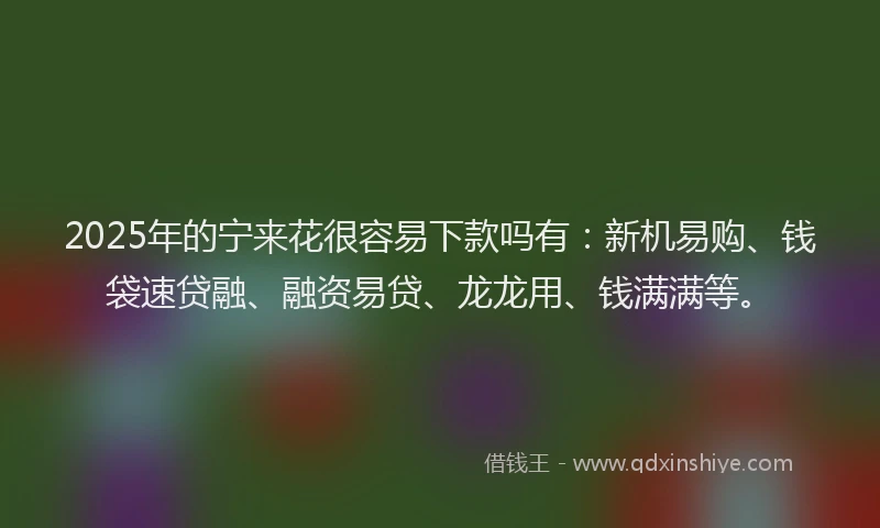 2025年的宁来花很容易下款吗有：新机易购、钱袋速贷融、融资易贷、龙龙用、钱满满等。