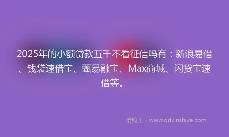 2025年的小额贷款五千不看征信吗有：新浪易借、钱袋速借宝、甄易融宝、Max商城、闪贷宝速借等。