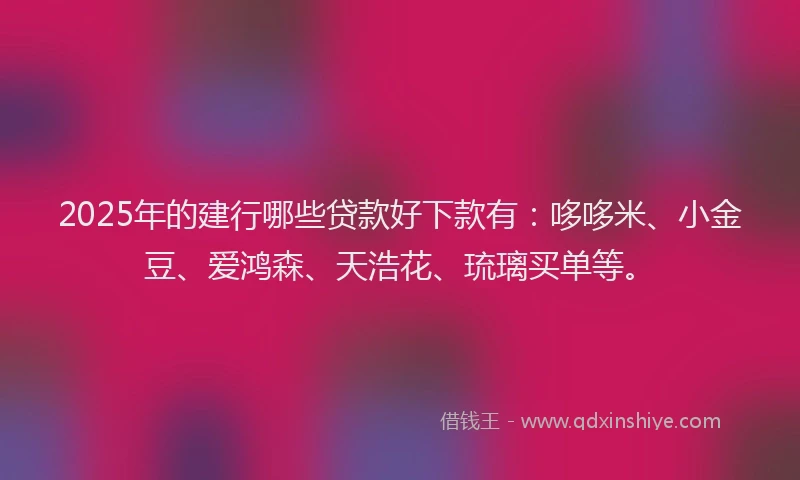 2025年的建行哪些贷款好下款有：哆哆米、小金豆、爱鸿森、天浩花、琉璃买单等。