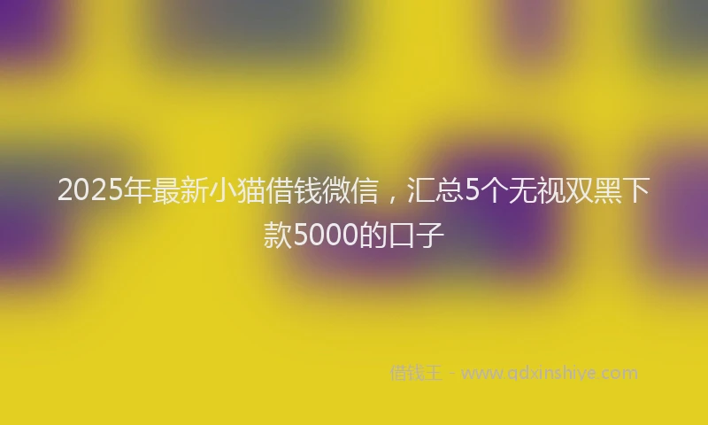 2025年最新小猫借钱微信，汇总5个无视双黑下款5000的口子