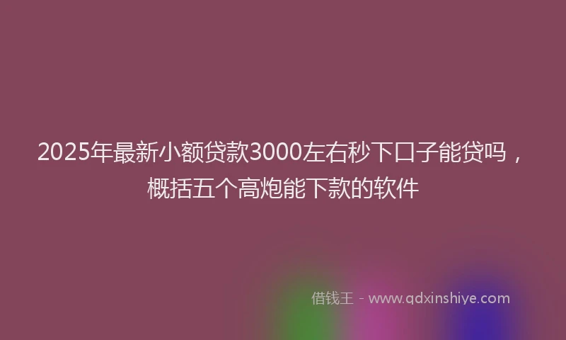 2025年最新小额贷款3000左右秒下口子能贷吗，概括五个高炮能下款的软件