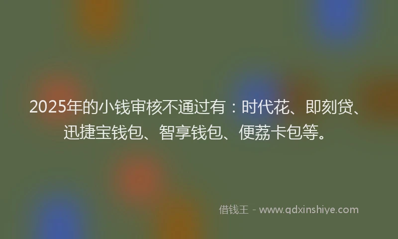 2025年的小钱审核不通过有：时代花、即刻贷、迅捷宝钱包、智享钱包、便荔卡包等。