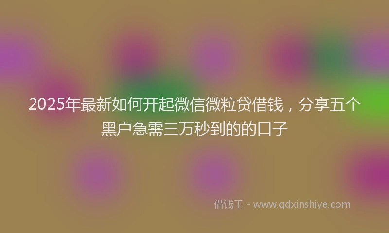 2025年最新如何开起微信微粒贷借钱，分享五个黑户急需三万秒到的的口子