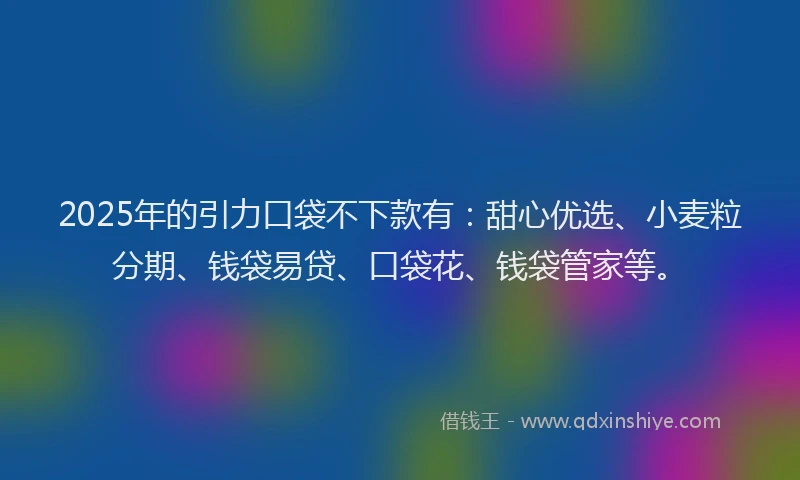 2025年的引力口袋不下款有：甜心优选、小麦粒分期、钱袋易贷、口袋花、钱袋管家等。
