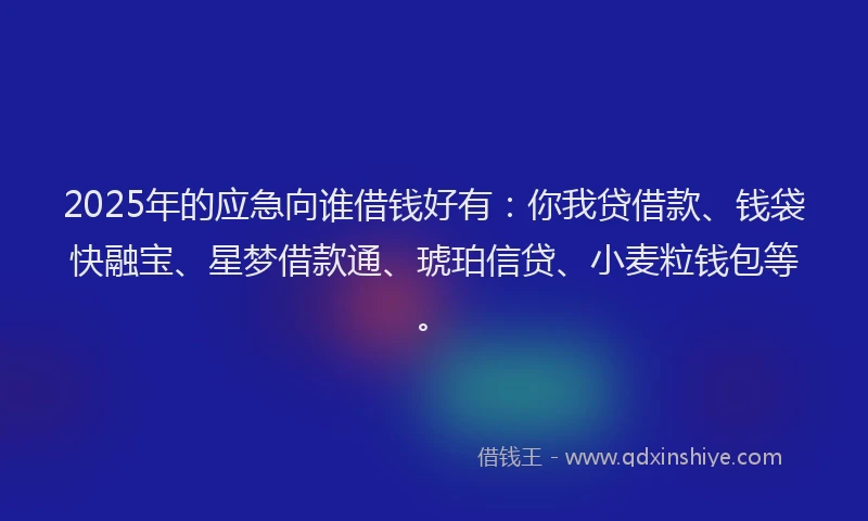 2025年的应急向谁借钱好有：你我贷借款、钱袋快融宝、星梦借款通、琥珀信贷、小麦粒钱包等。