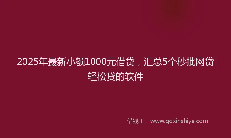 2025年最新小额1000元借贷，汇总5个秒批网贷轻松贷的软件