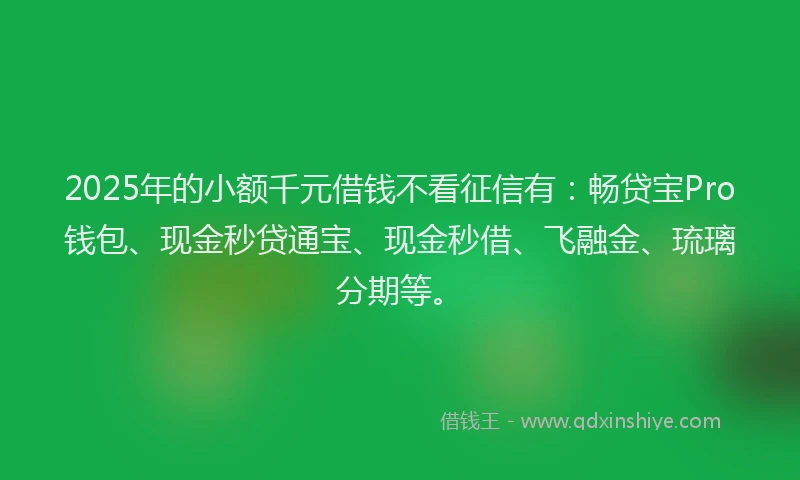 2025年的小额千元借钱不看征信有：畅贷宝Pro钱包、现金秒贷通宝、现金秒借、飞融金、琉璃分期等。