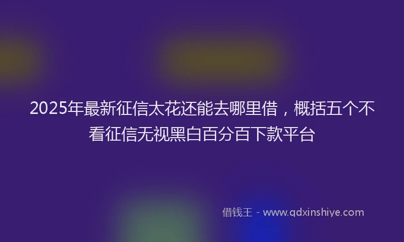2025年最新征信太花还能去哪里借，概括五个不看征信无视黑白百分百下款平台
