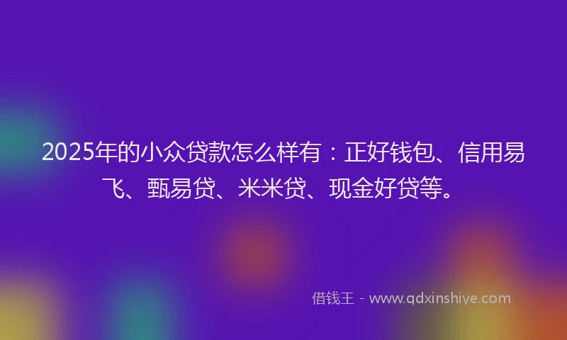 2025年的小众贷款怎么样有：正好钱包、信用易飞、甄易贷、米米贷、现金好贷等。