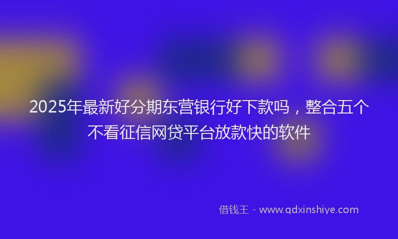 2025年最新好分期东营银行好下款吗，整合五个不看征信网贷平台放款快的软件
