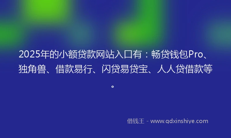 2025年的小额贷款网站入口有：畅贷钱包Pro、独角兽、借款易行、闪贷易贷宝、人人贷借款等。
