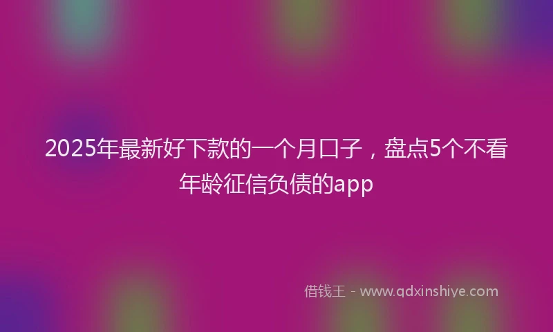 2025年最新好下款的一个月口子，盘点5个不看年龄征信负债的app